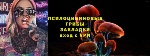 2c-b Абаза