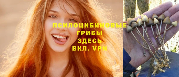 2c-b Абаза