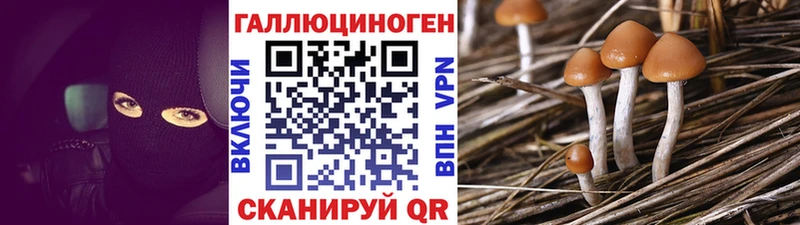 дарнет шоп  Нолинск  Галлюциногенные грибы мухоморы 