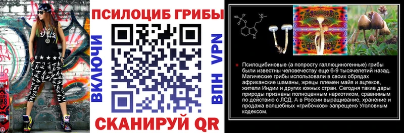 Псилоцибиновые грибы Magic Shrooms Нолинск